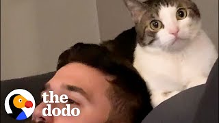 Woman Becomes Third Wheel In Her Cat And Husband's Relationship | The Dodo Cat Crazy Resimi