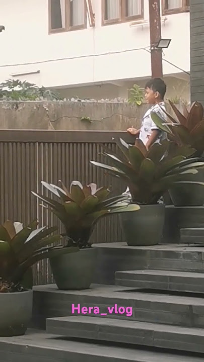 arkana lagi konser di depan rumah #ridwankamil #ataliapr #arkanaidan