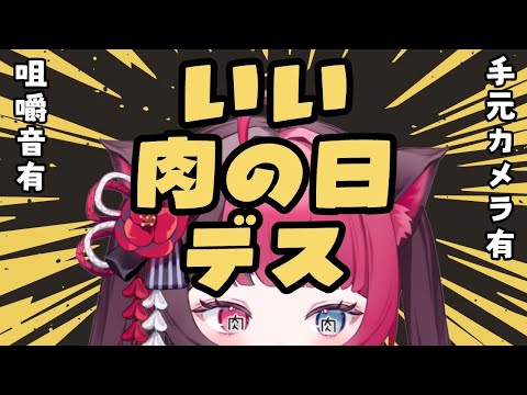 【肉食雑談】いい肉の日！！みんなも一緒にお肉を食べよー✨｜手元カメラ 咀嚼音 ASMR｜Vtuber 山河椿
