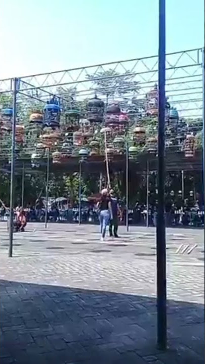 Viral... Cewek Cantik Penyelamat Burung Di Gantangan Sragen