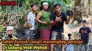 Tokeh tunjuk langit menangkap peninja di ladang Wak Wahab