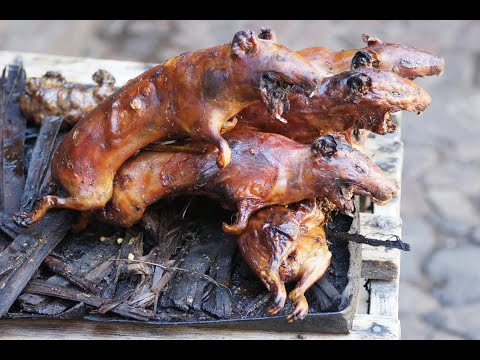 Видео: Крысы едят куриное мясо?