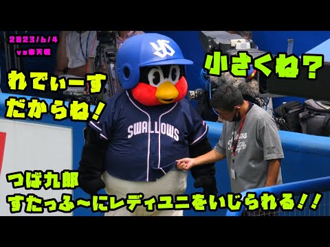 つば九郎　すたっふ〜に『ぴっちぴち』のレディースユニフォームをいじられる！！　2023/6/4 vs楽天