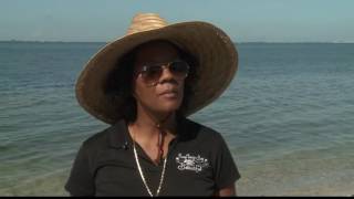 Tampa volunteers clean up after Fourth of July
