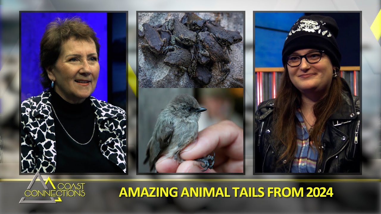 Jessica R Durling Coast Connections - The Top Animal Tails from 2024 with guest Jessica ...