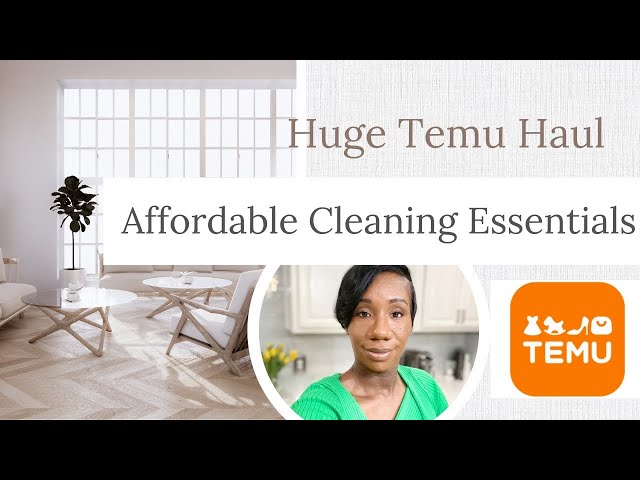 TESTING TEMU PRODUCTS  TEMU CLEANING, ORGANIZING, + KITCHEN PRODUCTS 