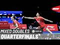 KFF Singapore Badminton Open 2026 | Gao/Wei (CHN) vs Tang/Tse (HKG) [7] | QF