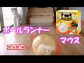 猫おもちゃ【ボールランナーマウス】Cat toys  [a ball runner mouse]