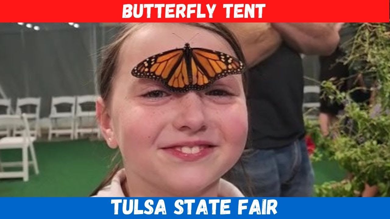 Butterflies Tulsa State Fair 2022 YouTube
