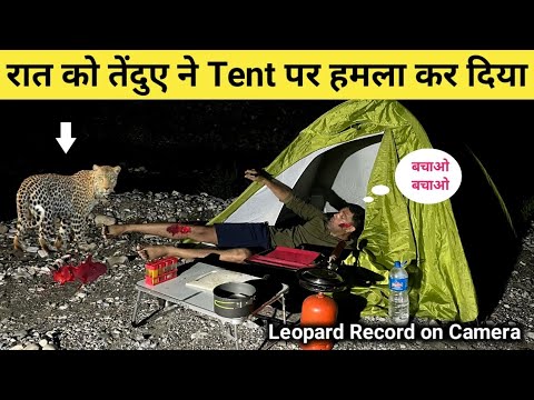 Leopard attacked the tent at night. Solo Night Camping in Dangerous Forest JungleCampingVideo