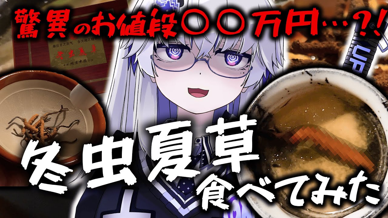 【超高級食材】その本体は虫に寄生したキノコ…？！冬虫夏草を食べてみたら意外な結果に…！【VEE/亞生うぱる】