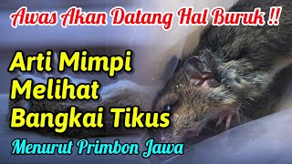 Tafsir Mimpi Melihat Bangkai Tikus Menurut Primbon Jawa