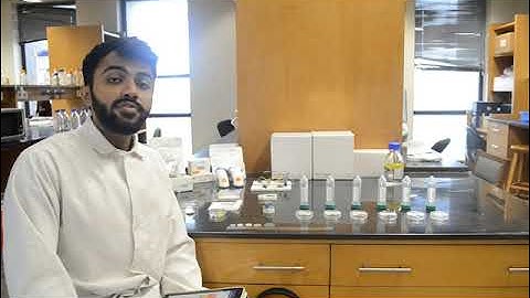 Design and Development of a Wearable Continuous Glucose Monitoring System for Diabetes Patients