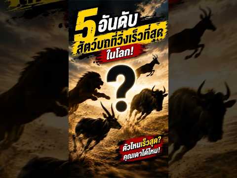 “5” อันดับ สัตว์บกที่วิ่งเร็วที่สุดในโลก #shorts #shortvideo