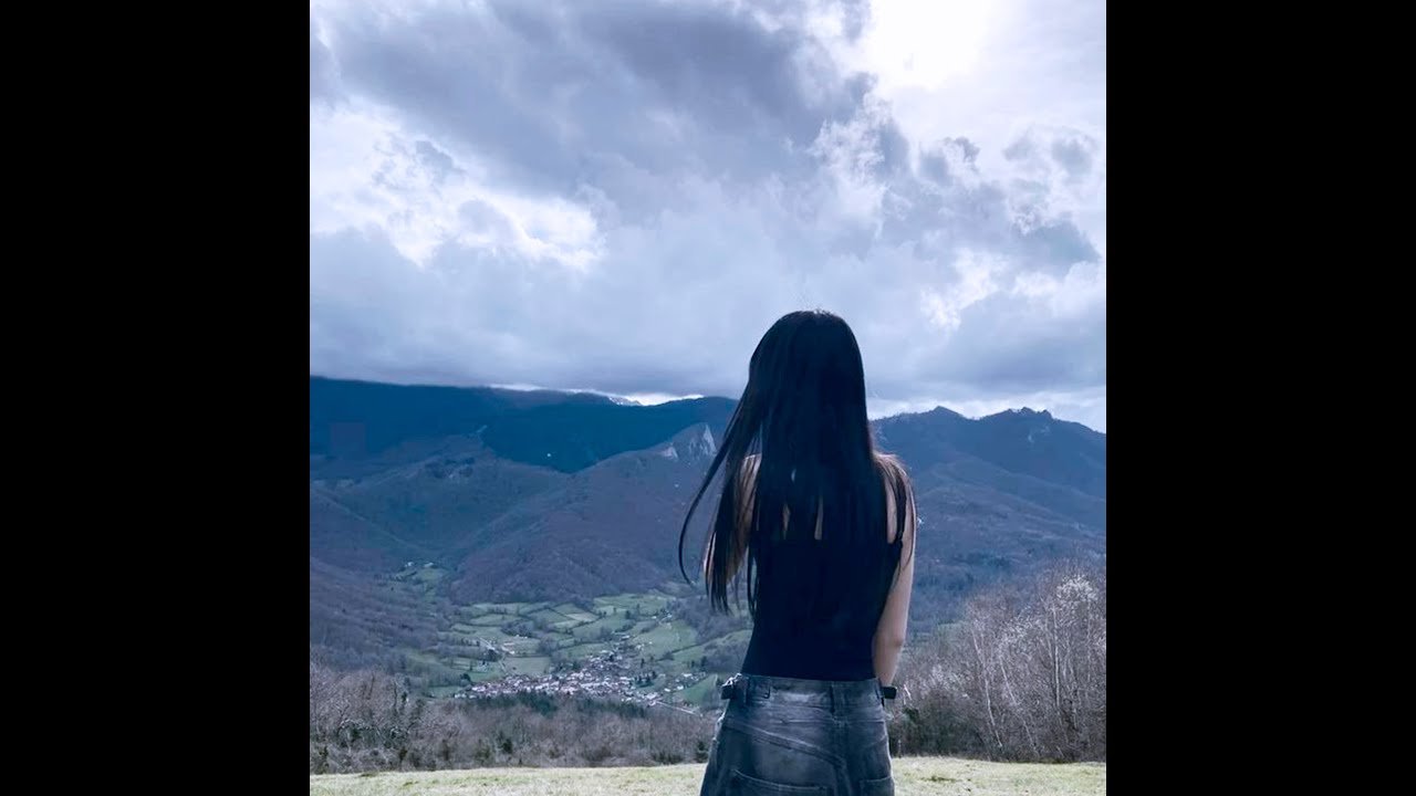 [free] Yung Lean x Ecco2k x Bladee x type beat "dreamover"