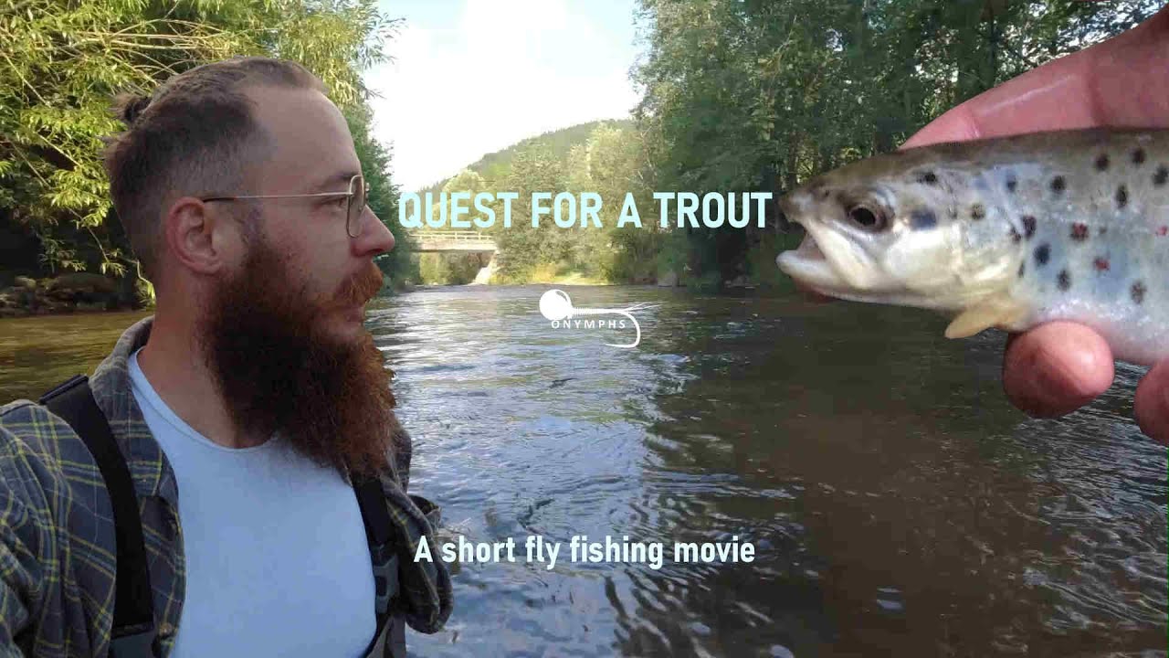 Quest for a Trout - Full Adventure - Fly Fishing in Romania's Tarnava Mare River