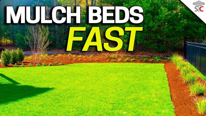 How To Make Your Mulch Look Brand New Without The Hefty Price Tag