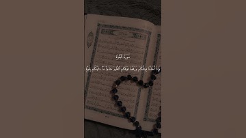 سورة البقرة الآيات 62 - 66 #المصحف #اكسبلور #قران