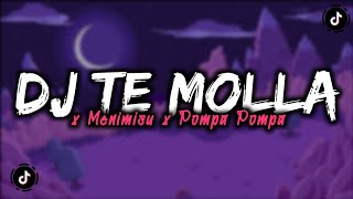 DJ TE MOLLA X MENIMISU X POMPA POMPA MENGKANE