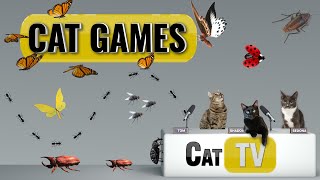 КОТ-игры | Подборка жуков и бабочек Ultimate Cat TV, том 4 🪲 🐞🦋🦗🐜