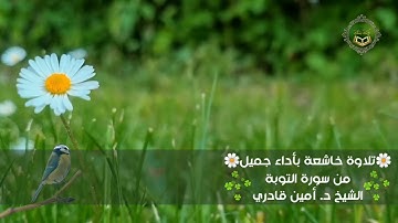 🌼تلاوة خاشعة بأداء جميل من سورة التوبة| الشيخ د. أمين قادري.