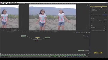 Blackmagic Design  Fusion 7  Cloning-101