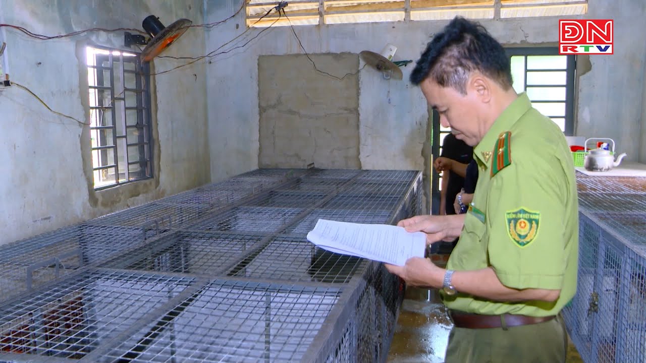 Rộ mô hình nuôi chồn hương