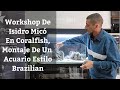  workshop de isidro mic en coralfishmontaje de un acuario estilo brazilian acuarios mb