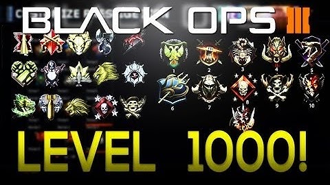 BO3 LEVEL 1000 Stats & Class Setups.