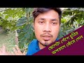          true talk factory  saiful sajib vlog