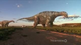 Celebrity Australia The First 4 Billion Years   Awakening ✪ Earth Science Channel HD Net Worth