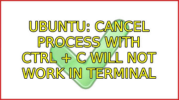 Ubuntu: Cancel Process with Ctrl + C will not work in Terminal