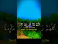 تلاوة خاشعة بصوت يريح القلب #elmulquranعلم #aslam #اكسبلور #تلاوة #trend #لايك #قران_كريم