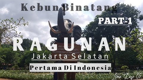KEBUN BINATANG RAGUNAN PART-1 | Pertama Di Indonesia | Travel Vlog
