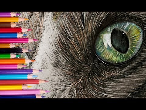 וִידֵאוֹ: איך לצייר בעלי חיים מצוירים (עם תמונות)