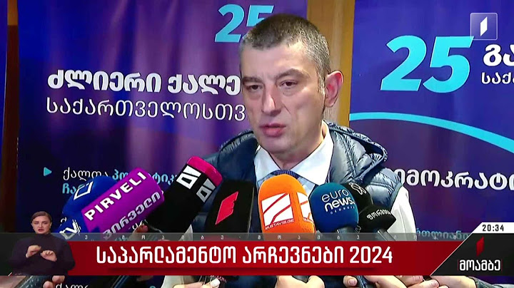 საპარლამენტო არჩევნები 2024 - ჩართვა „გახარია საქართველოსთვის“ ოფისიდან