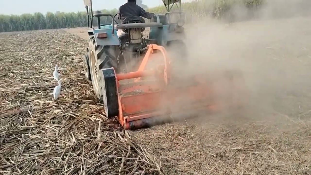 आज हमने मलचर से पत्ती की कटाई करी