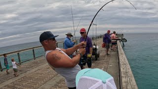 Fishing the Navarre Pier when something  CRAZY happened!!!!