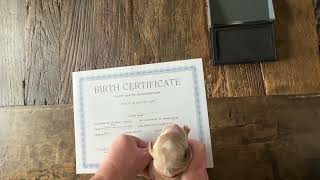 Puppy Birth Certificate