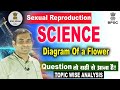 Diagram Of a Flower || Fertilization || #durgesh_sir #12th_biology