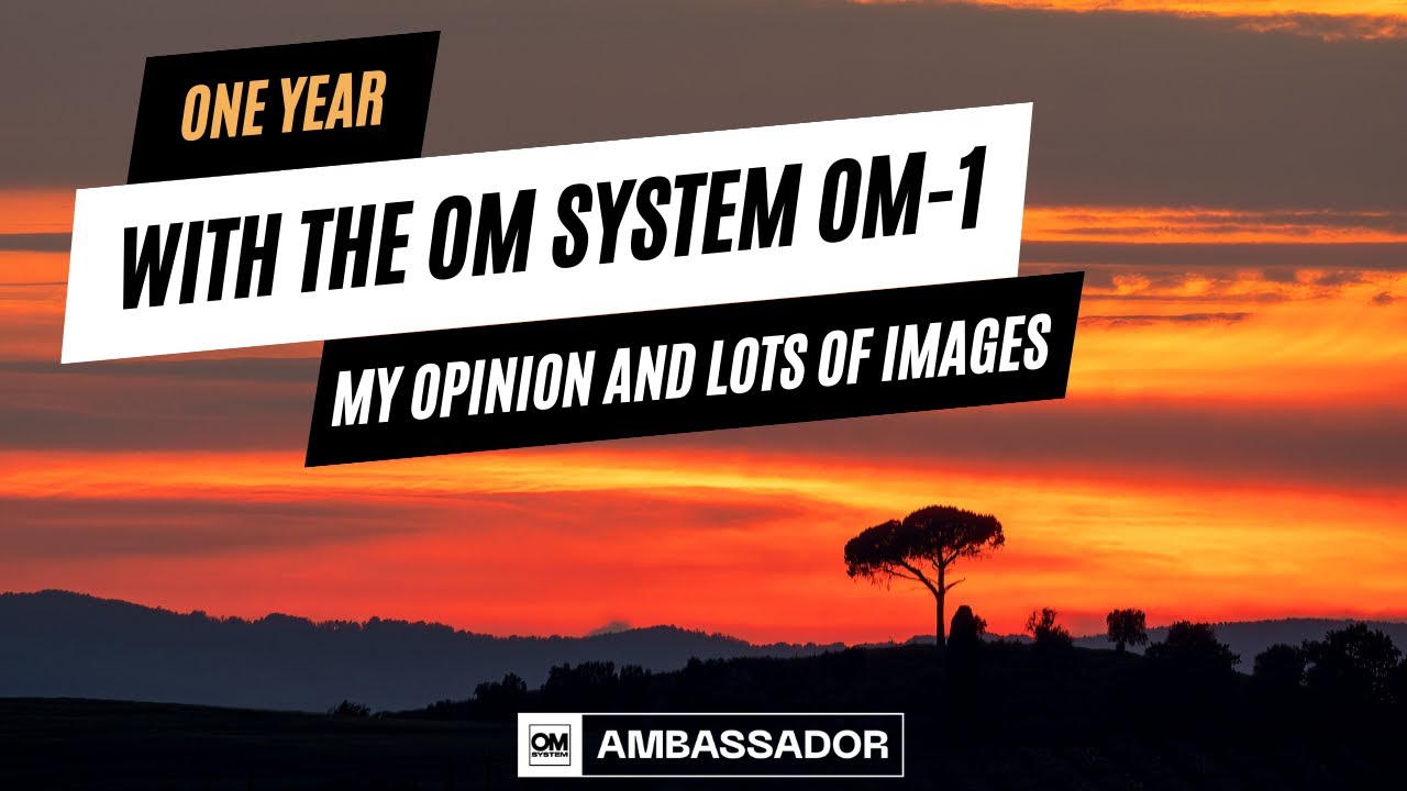 One Year with the OM-1. My Experience and Lots of Images! OM System / Olympus Landscape Photography