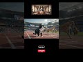 Olimpiyat Oyunları Bölüm 1 / Olympic Games Episode 1 #kedi #olimpiyat #cat #olimpics #shorts