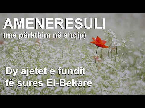 Video: Thënie arabe - e gjithë urtësia e beduinëve është e disponueshme për të gjithë