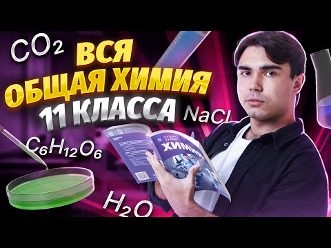 Видео: Вся общая химия с нуля!