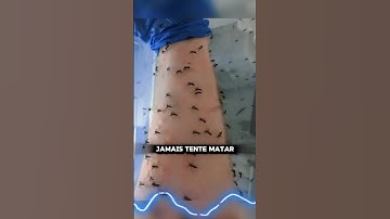 TRUQUE CONTRA MOSQUITOS!!!! #shorts #incrivel #curioso #viral