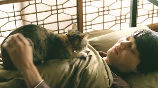 古川雄輝主演、愛くるしい猫との生活…毎日を生きることが好きになる『劇場版 ねこ物件』特報