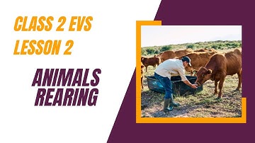Class 2 EVS Lesson 2 – Animal Rearing | 2nd Standard Environmental Studies