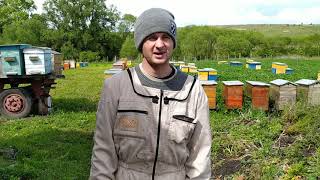 видео: Як  заселити нуклеус. картинка: Як  заселити нуклеус.