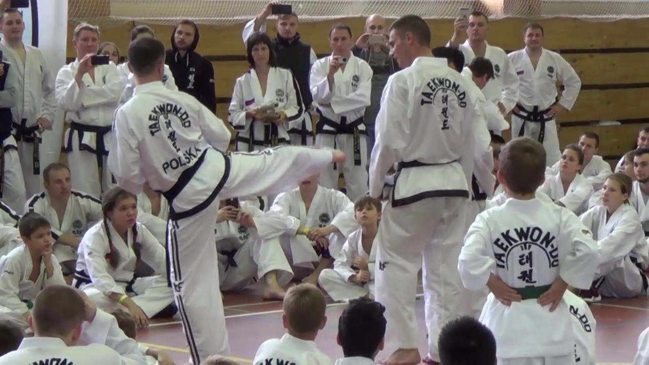 Часть6 Таеквон-До ИТФ Семинар Jurek Jedut Jaroslav Suska 2017 Taekwon-Do ITF Seminar