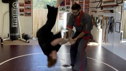 3 Principles of Hapkido Explained!